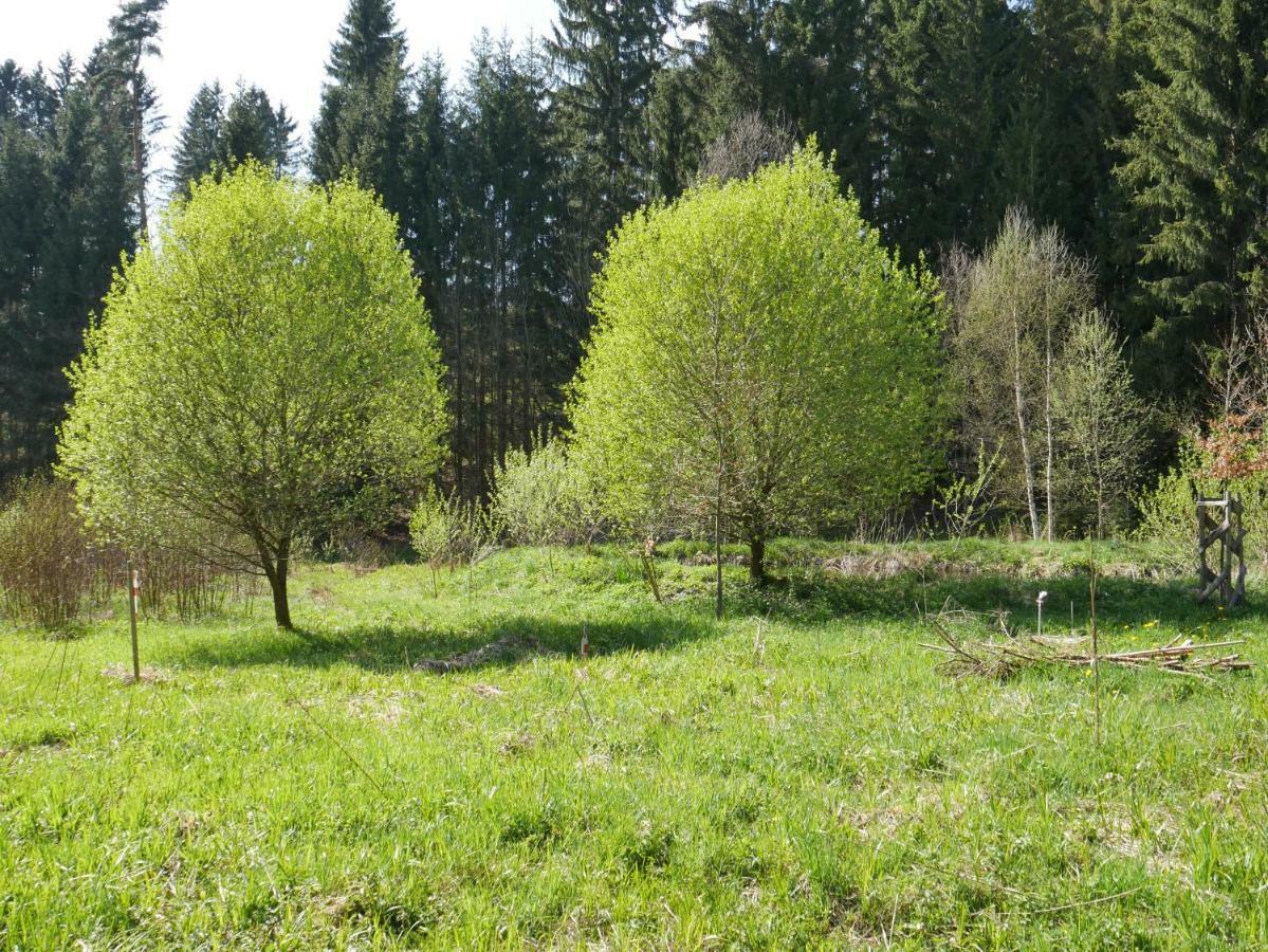 Gruenlasmuehle Бранд Экстерьер фото